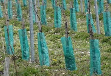 Avis favorable du Conseil de bassin pour le plan de restructuration.