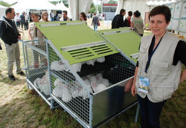 En 2015, à l’occasion des Terrenales, la coopérative Terrena exposait son concept de cages collectives répondant, lors de l’étape d’engraissement, aux exigences du bien-être animal.