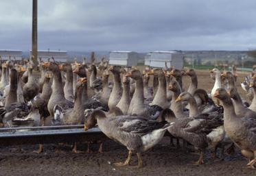 La vigilance des professionnels est recommandée.