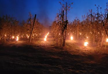 Arboriculture, gelées noire, Deux-Sèvres, Earl Desnoue, bougie.