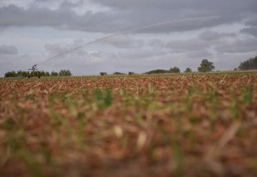 Irrigation, enrouleur, eau, Nouvelle-Aquitaine, Deux-Sèvres