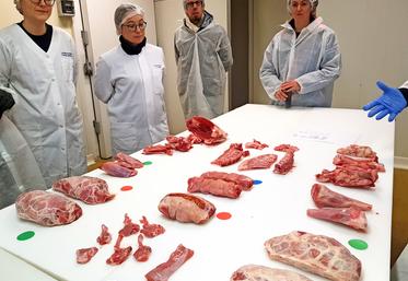 ValCabri, viande de chevreau