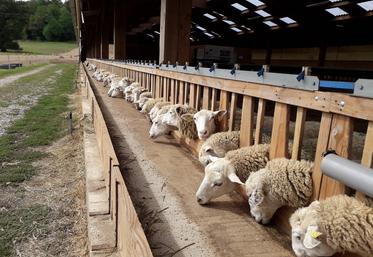 De nombreuses interventions peuvent être réalisées aux cornadis 