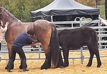 traite de jument. FSI 2023 Virgine Beloy de l'exploitation laits crins de nature à Moussac