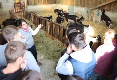 "L'exploitation doit être modulable et permettre de s'adapter", a résumé l'éleveuse Ophélie Michelet.