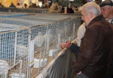 Volailles Ferme s'Invite