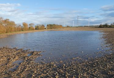 Il faudra attendre plusieurs jours de ressuyage avant d'intervenir dans les parcelles.