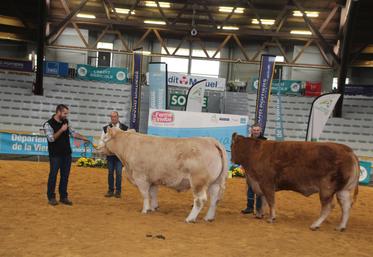 Label Rouge Limousine Charolaise Ferme s'Invite