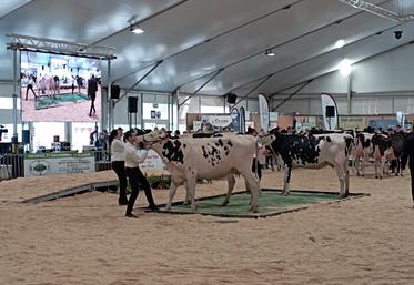 Au programme de ces trois jours : de nombreux concours et des présentations d'animaux.
