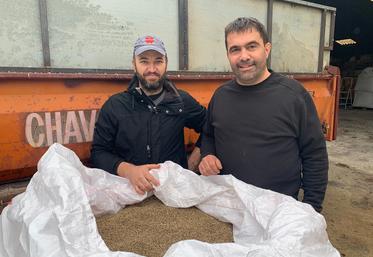 Xavier Pillet et Ludovic Benassy, producteurs de chanvre, le 13 novembre 2023.