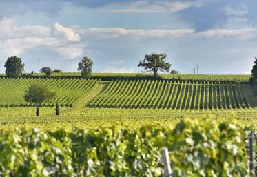 Un long travail fastidieux attend les porteurs du projet.