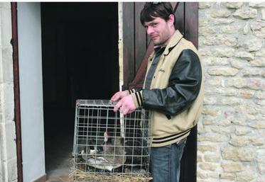 Les chasseurs devront en fin de saison faire réaliser des contrôles sanitaires des appelants utilisés dans les zones à risque.