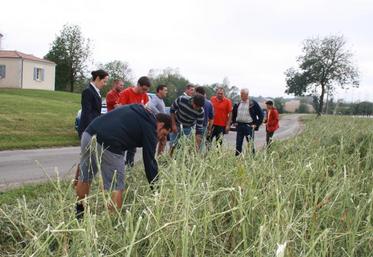 Entre deux visites d'exploitations, arrêt devant un champ de colza.
