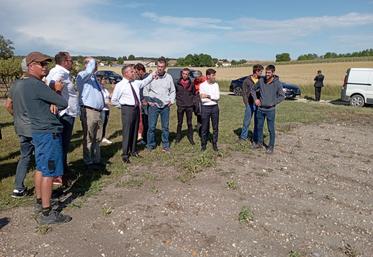 La première partie de la visite préfectorale du 23 juin s'est déroulée à Neulles, entre une parcelle de betteraves et une autre de vignes.