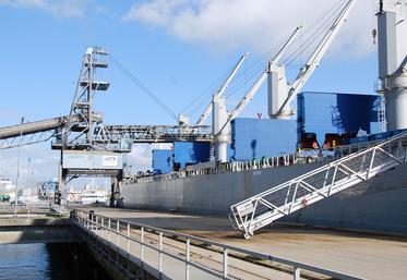 Début février, la Sica Atlantique a chargé 32 000 t (l’équivalent de 2 100 camions) de tournesol pour ce navire en partance pour la péninsule ibérique. La moitié doit être déchargée sur le port de Santander (Espagne), le reste à Lisbonne (Portugal).