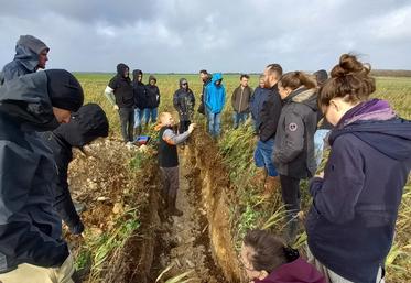 Autour de la fosse pédologique, les participants constatent que la croûte de battance s'est estompée jusqu'à ne plus représenter de gêne pour l'exploitant.
