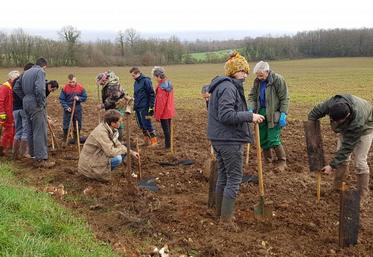 Une trentaine de bénévoles et citoyens ont participé à la plantation d’une haie champêtre.