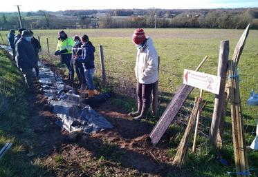 Une démonstration a été organisée sur la plantation de M. Delorme, au lieu-dit le Four à Chaux.