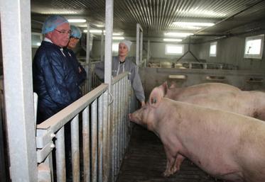 Céline Sergent a fait visiter son exploitation porcine d’Antran à Véronique Massonneau, Jean-Michel Clément. Alain Pichon et Jean-Olivier Geoffroy étaient également présents.
