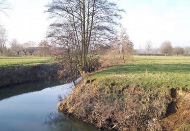 Objectif du Sdage : atteindre 69 % des eaux superficielles en bon état en 2021.