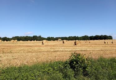 Une année décevante, à quelques exceptions près.