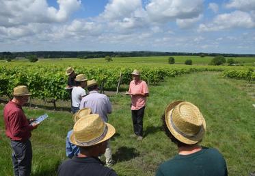 « La vigne est un agrosystème dans laquelle on va abriter une biodiversité », résume en préambule Lætitia Caillaud conseillère en viticulture.