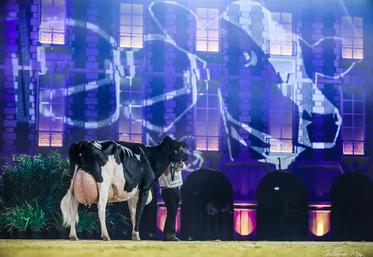 La vache Ducasse Jaka (Bradnick x Windbrook), appartenant à l'Earl de Banos (40), a été désignée "Vache du siècle" lors de la célébration des 100 ans de l'association Prim'Holstein France.