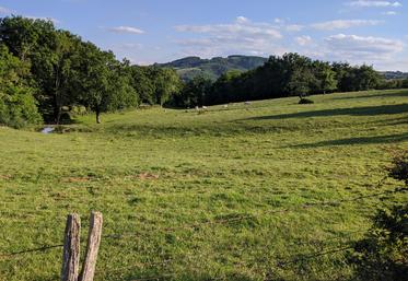 Encore mal connu, l’albédo, qui quantifie la part de lumière réfléchie par les surfaces, est un levier pour limiter une partie des impacts du réchauffement. Les prairies pourraient en être les principales pourvoyeuses.