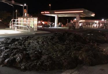 Une quarantaine d’agriculteurs a «bloqué» les accès des stations Total rochelaises.