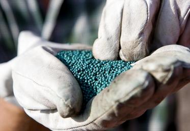 Le seul traitement de semence à bénéficier d’une AMM est Intégral Pro, de la société BASF.