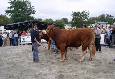 Pas de concours ni de récompenses pour cette édition 2018, mais les animaux seront bien au rendez-vous.