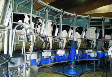 30% des vaches dans des exploitations de plus de 100 vaches
