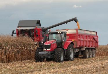 En Charente, le rendement du maïs grain est estimé aux alentours de 100 q/ha.