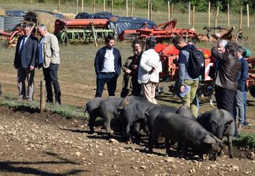 Les services de l’État ont découvert un bel exemple de diversification sur une exploitation familiale 
à Torsac. Emmanuel Bonnier est installé officiellement depuis le début de l’année.