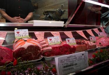 La lecture de l’évolution des débouchés  des races allaitantes n’incite pas à l’optimisme.