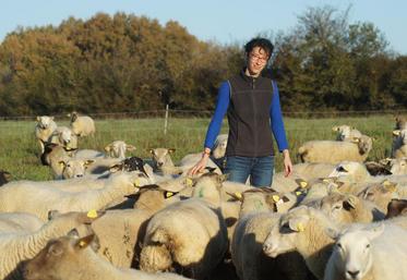 Laurence Gauthier entourée de son troupeau