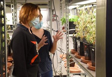 La préfète de la Charente, Magali Debatte, a visité le laboratoire mercredi 16 décembre. L'extension sera réalisée par des artisans locaux.