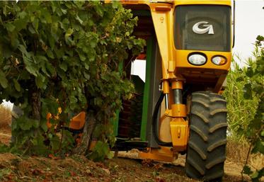 Médaille d’or pour Grégoire