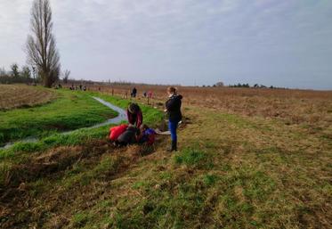Début décembre, des travaux de reboisement de berges ont eu lieu avec de jeunes élèves du secteur.