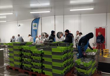 Une des visites s’est déroulée au port de la Cotinière.