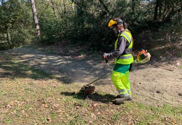 Les brigades vertes débroussaillent actuellement les abords de la route traversant la forêt de La Coubre.