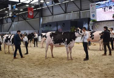À l’image de la qualité du concours Prim’Holstein, Aquitanima est un événement qui reste prisé pour les éleveurs de la région, et au-delà. 