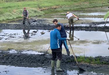 Le saunier a bénéficié d’une main d’œuvre gratuite… et motivée.