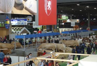 Même si le contexte est parfois difficile, les allées du Salon International de l’Agriculture sont toujours pleines. La Nouvelle-Aquitaine y répond présente. (Photo d'archives)