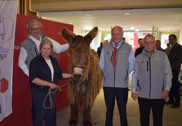 C’est Urielle du Breuil, baudet du Poitou femelle venant d’Aigonnay dans les Deux-Sèvres, qui est la mascotte du Salon de l’Agriculture Nouvelle-Aquitaine. 