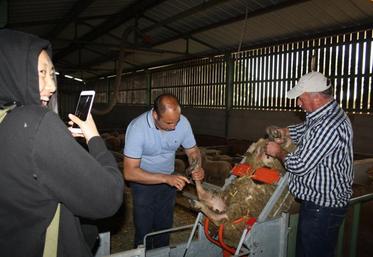 Le parage a suscité beaucoup de réactions d’étonnement des étudiants de l’Arizona.