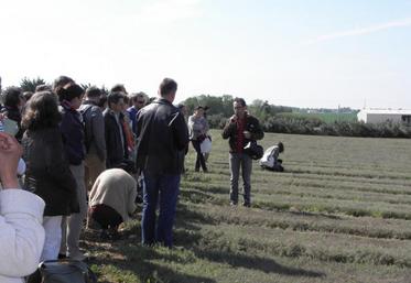 Jean Maison : «la filière bio n’est pas un créneau, mais un engagement. Il faudra rémunérer le producteur au départ de la filière.»