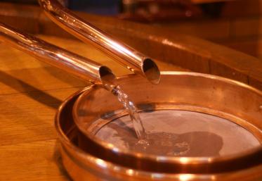 Le marché des spiritueux se porte bien dans l’Hexagone, tiré notamment par la production de cognac qui représente plus des deux tiers de la valeur des exportations.