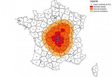 Le 2 octobre, le ministère a remis à jour sa carte des zones réglementées. La zone réglementée s’étend au nord (après le sud-est, la semaine précédente) mais reste identique pour ce qui concerne la Charente. Rappelons que depuis le 18 septembre, la Charente compte neuf communes en zone de protection (Abzac, Brigueuil, Brillac, Esse, Lesterps, Montrollet, Oradour-Fanais, Saint-Christophe, Saulgond) et 153 autres en zone de surveillance.