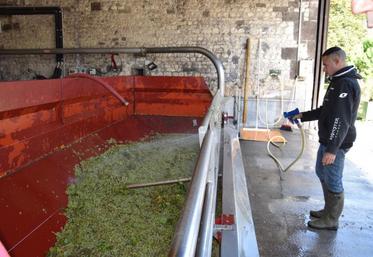 Les vendanges ne se présentent pas très bien cette année.